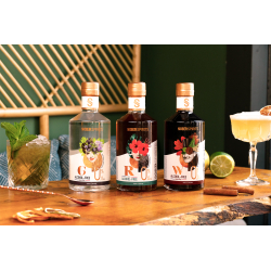 DB Sober Spirits 0% exkluzívny francúzsky nealko alkohol 4ks